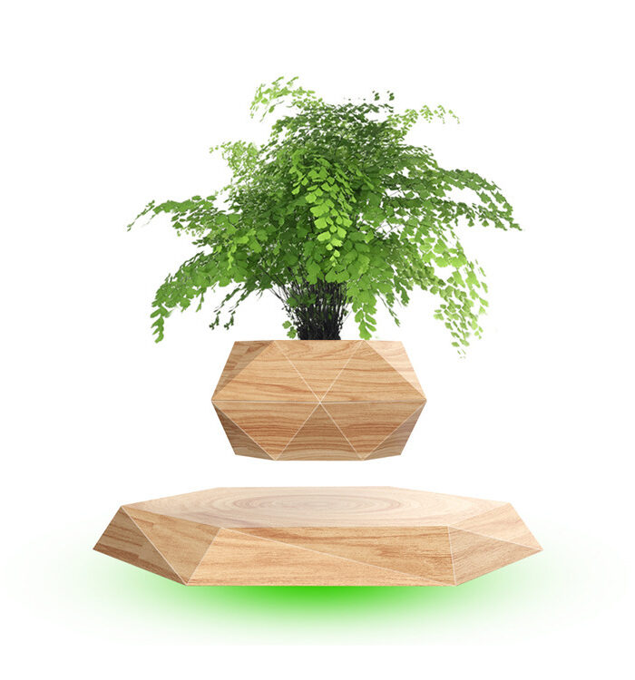 Magnetic Floating Bonsai Floating Plant Rack, Fashion Creative Gifts, Christmas Or Birthday Gifts